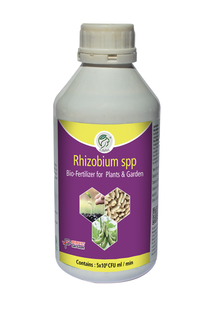 rhizobium-spp-gilehri-organics